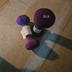 2-2 Lb Hand weights