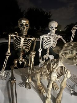 Halloween Skeletons Flexible