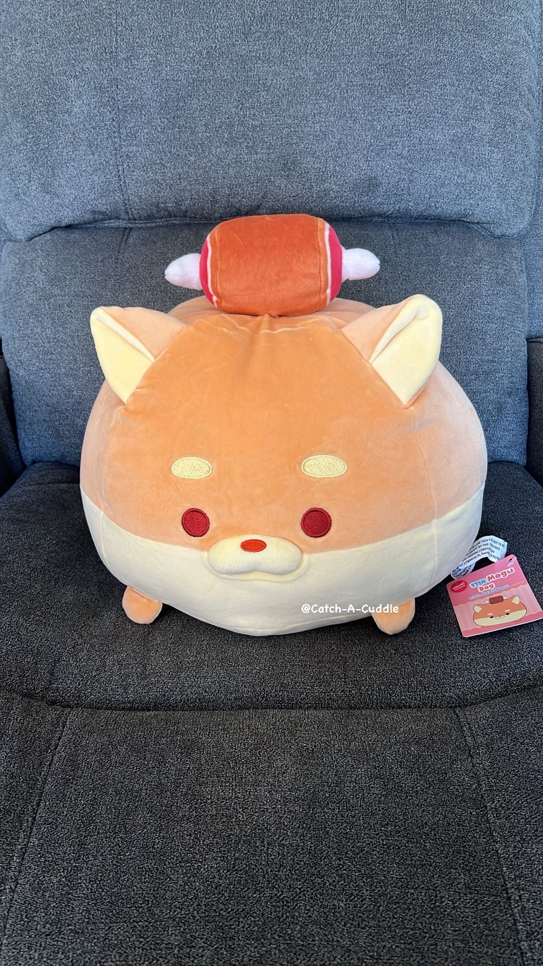 BRAND NEW Mogu Dog with Meat Bone 17"