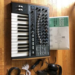 ARTURIA  MINIBRUTE 2 Analog Synthesizer