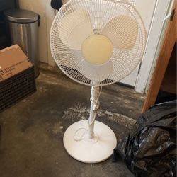 Stand Up Fan