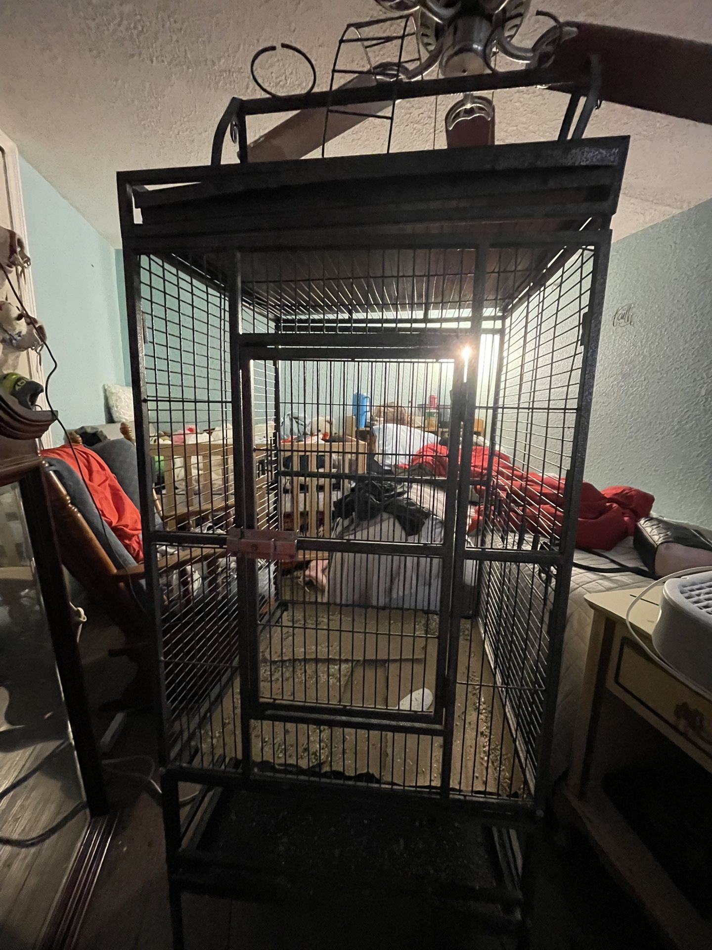 Bird Cage