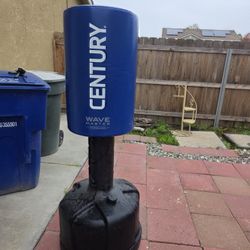 Century Punching Bag