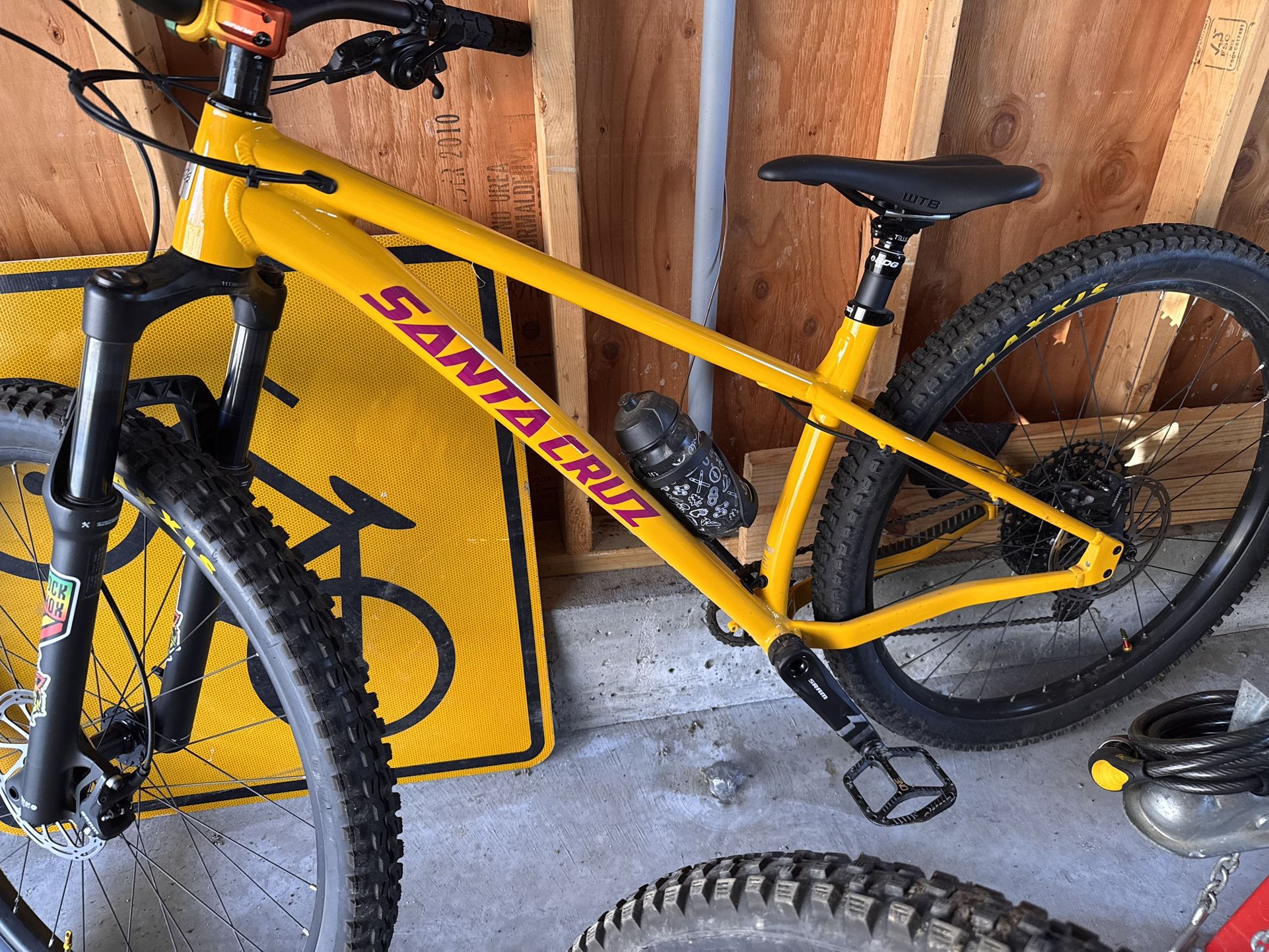Santa Cruz Chameleon