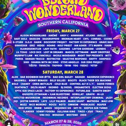 2 day vip wristband to beyond wonderland