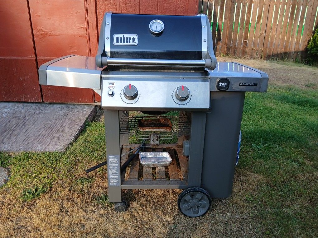 Weber BBQ