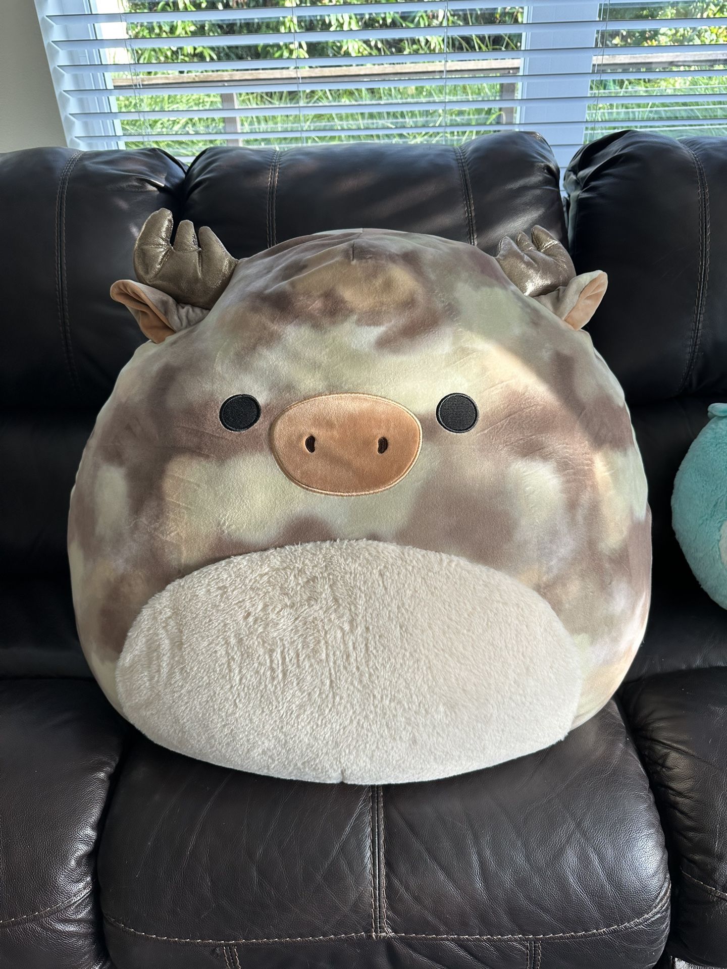 Big Squishmallow