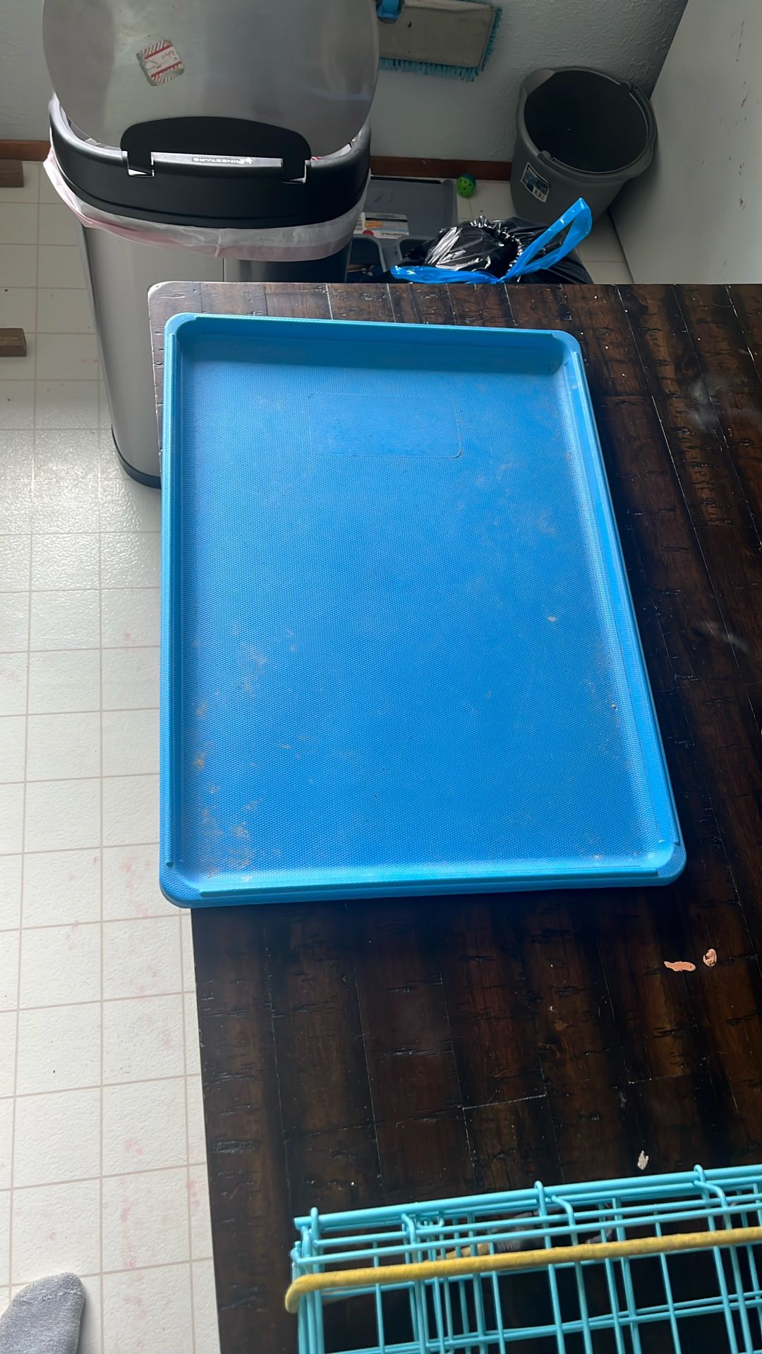 Dog Crate 
