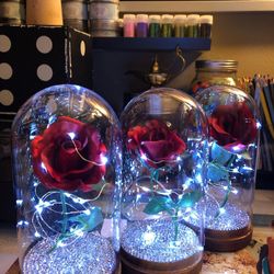 New Glass Dome Rose’s (different prices)