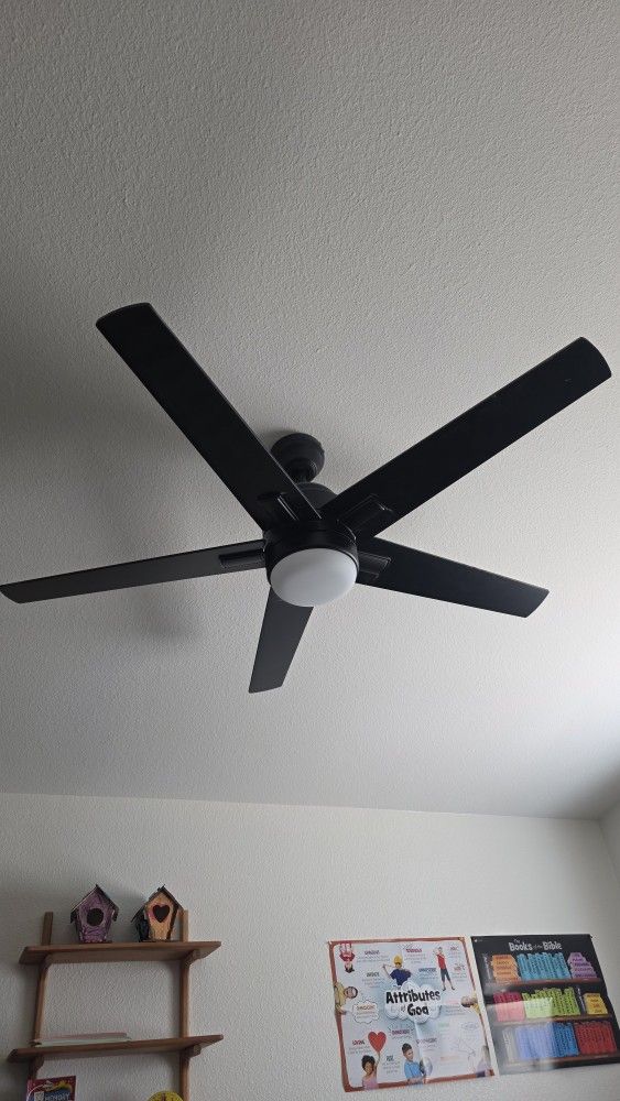 Ceiling Fan