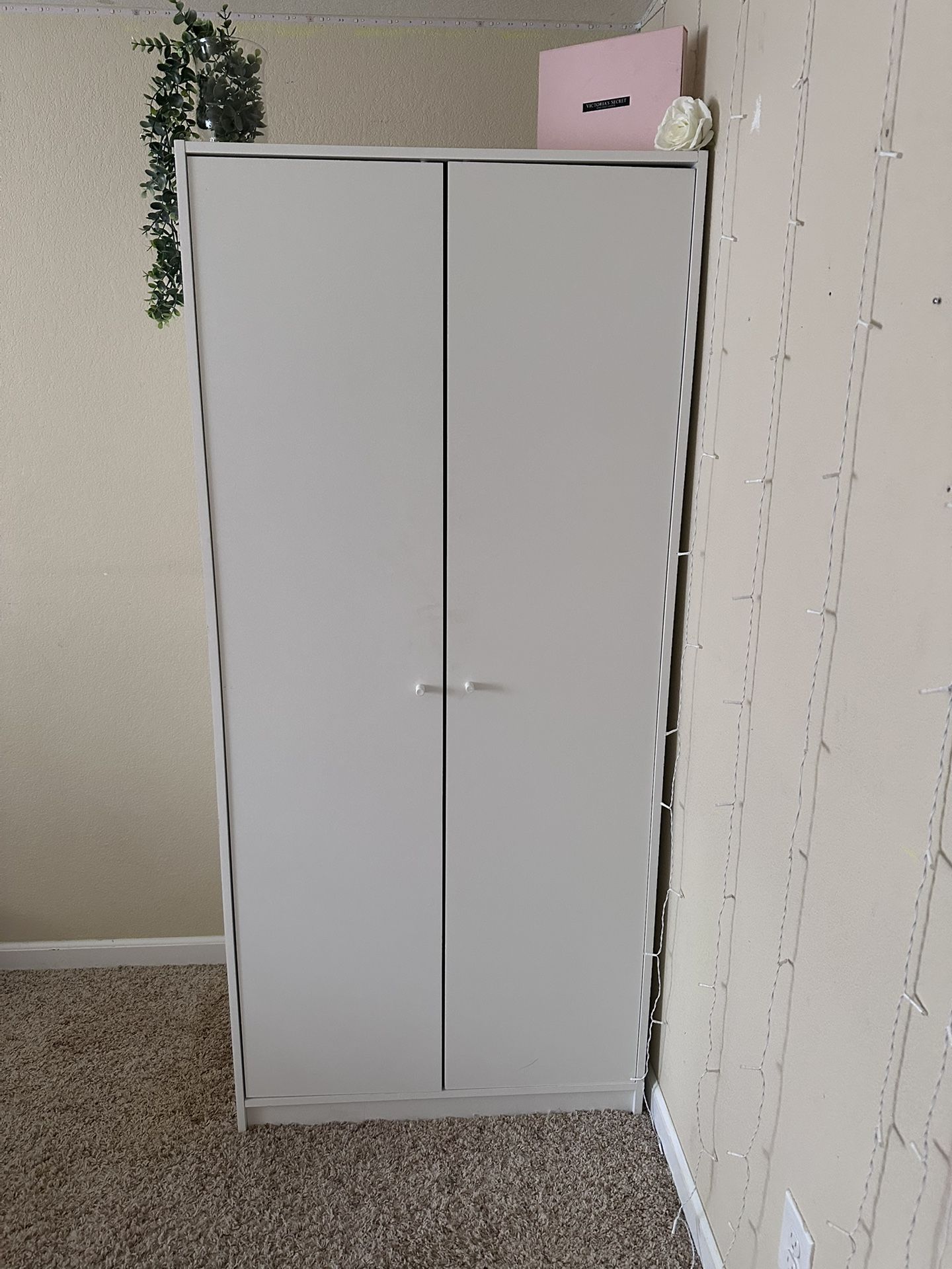 IKEA Brines 2 Door Closet