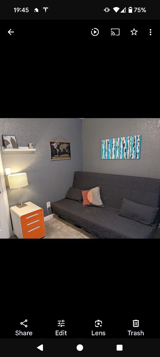 Sleeper Sofa