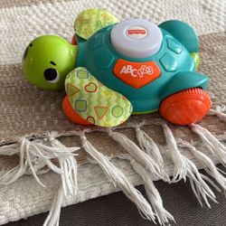 Turtle toy