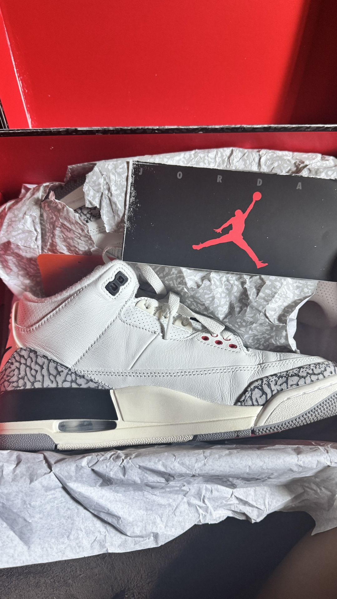 Air Jordan 3’s Retro