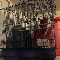 Bird Cage For Sale 👍🦜🕊️