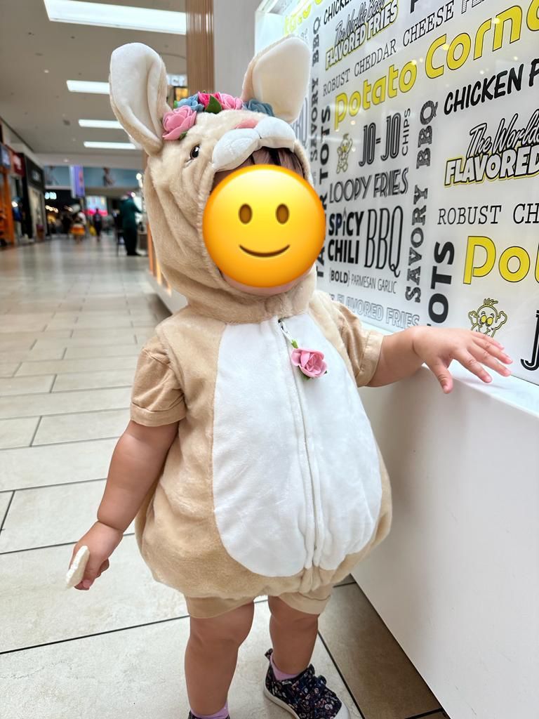 Bunny Costume