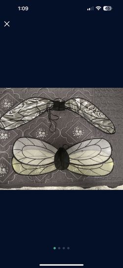 Halloween Costume Wings