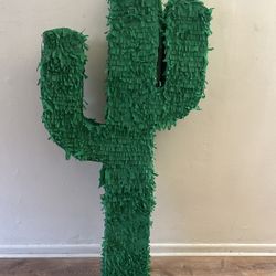 Saguaro Cactus Pinata Nopal Piñata  Western 