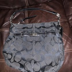 Coach Chelsea Hobo Bag