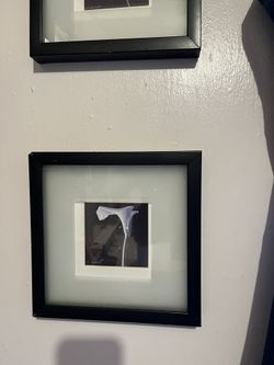 2 Black Framed Floral Pictures 