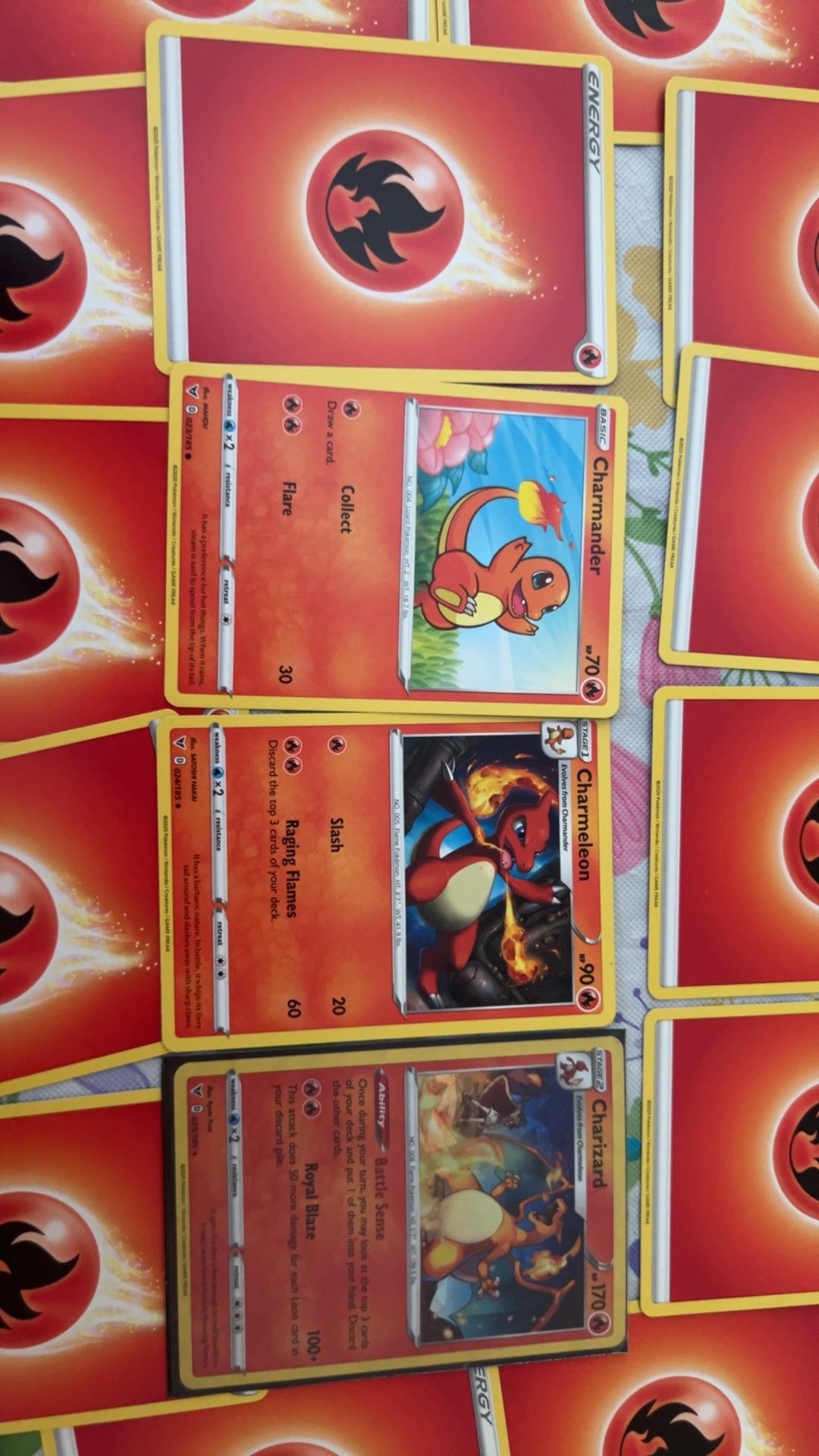 Holo Charizard Set