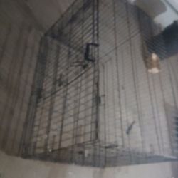 Dog Cage 