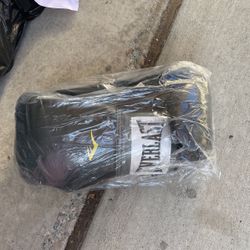Everlast New Boxing Gloves 