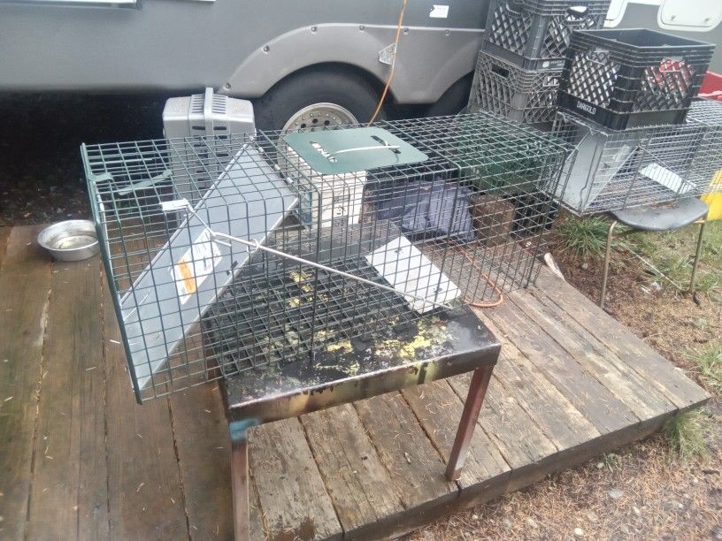 Large Heavy Duty Steel Live Animal Trap, Works Great. $20.00.