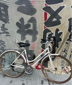 Sears Ted Williams Free Spirit Vintage Bike Bicycle MADE IN FRANCE
