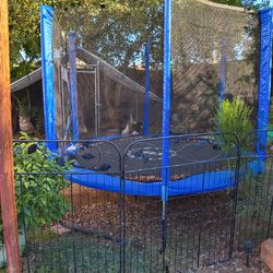 Trampoline With Safety Net, Zipper And Ladder 