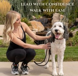 Calm command hands free no pull leash medium 25-60lbs