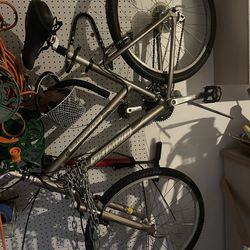 Expedition Adult Bike needs new rims - good for parts