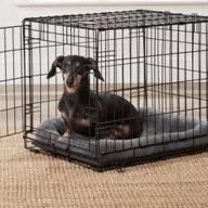 Pet crate / Jaula De Mascota 