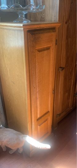 Oak Wood Cabinet with Raised Panel Door