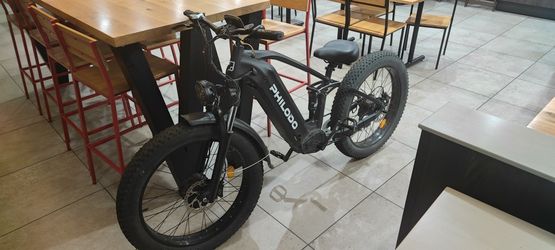 Ebike Bike