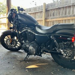 2014 Harley Davidson Iron 883