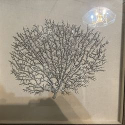 Tree Of Life Picture.