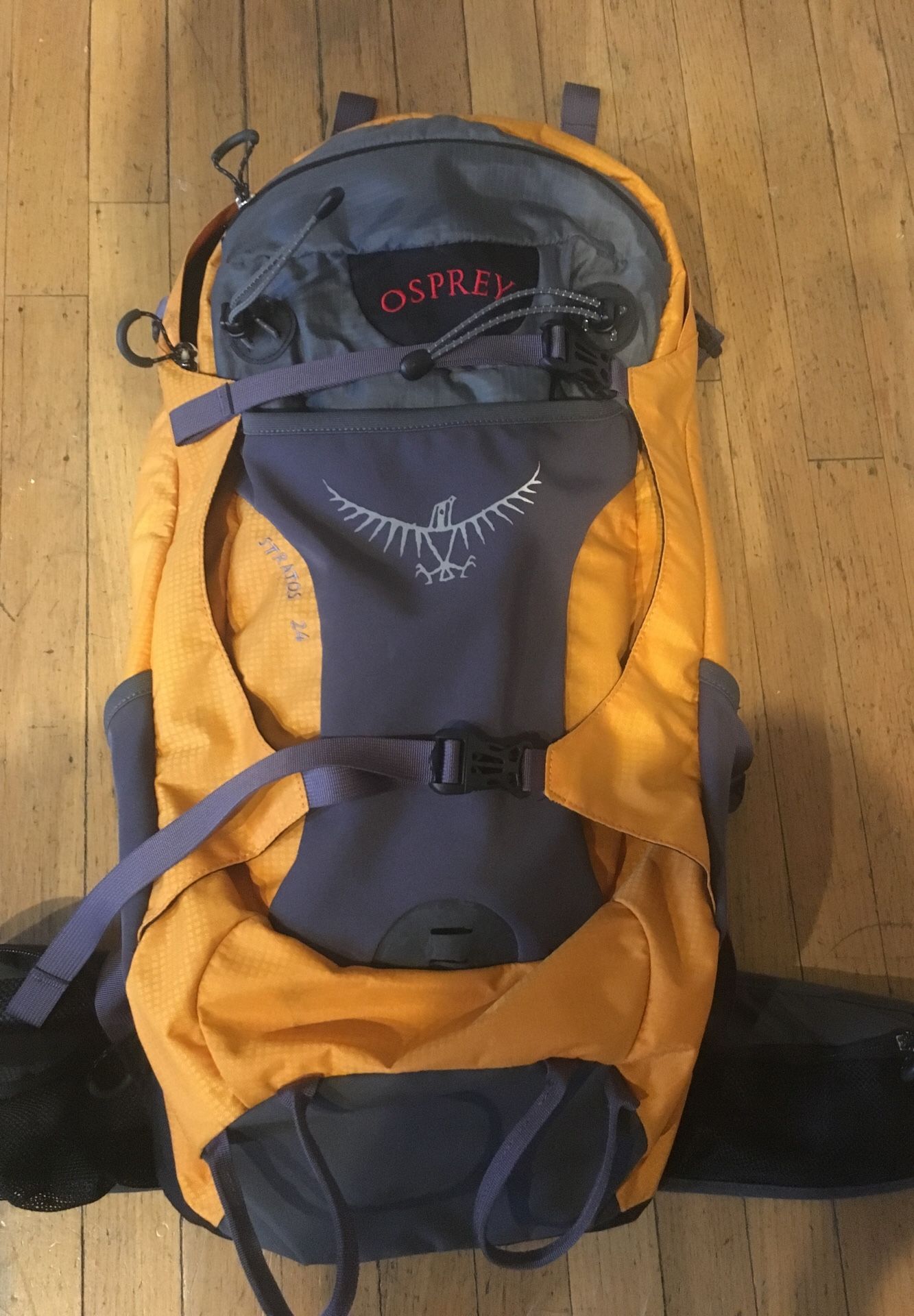 Osprey Stratos 24l Hiking Backpack For Sale In Seattle Wa Offerup