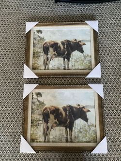 Juego de 2 cuadros   para decoracion