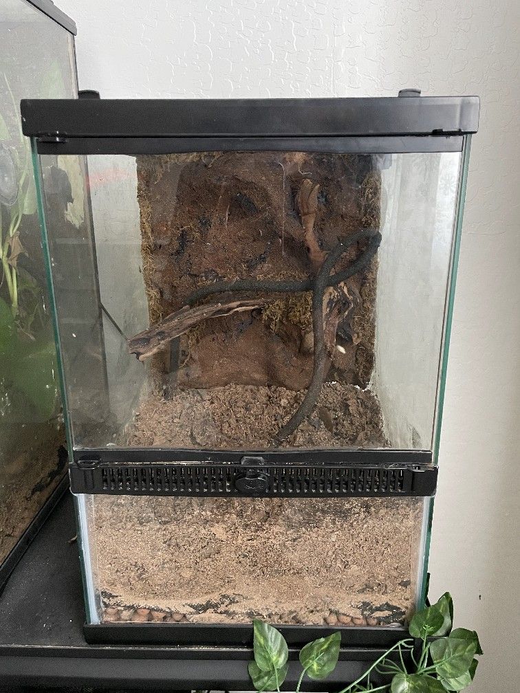 Reptile Terrarium