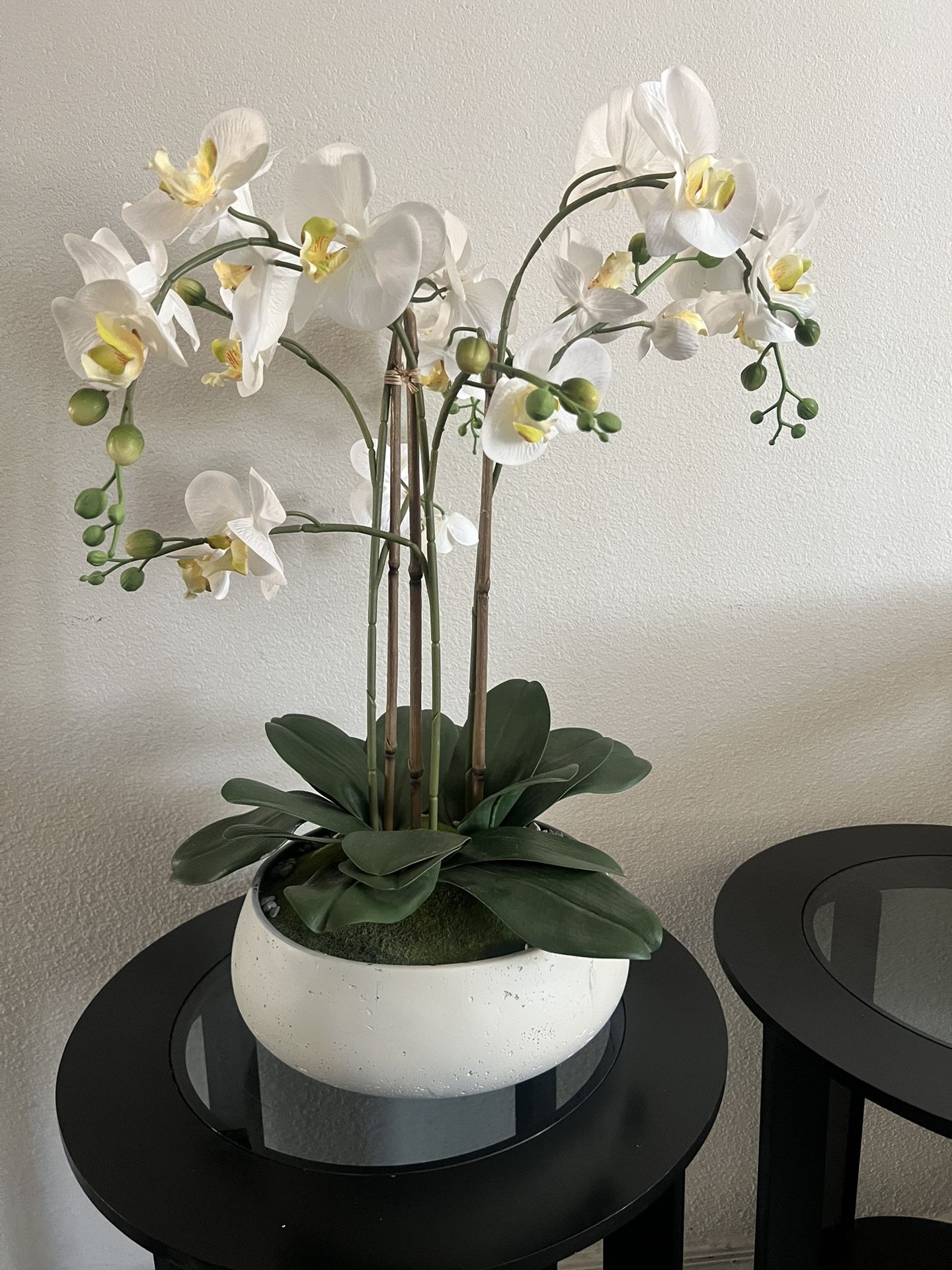Orchids Plant Faux
