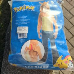 Pokemon Charizard Boys costume
