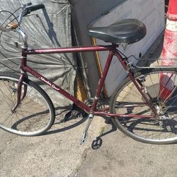 Lured mountain sport limited edition street bike