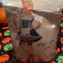 Halloween Alice Costume