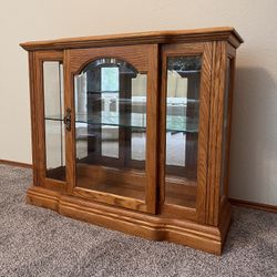 Glass Bookcase