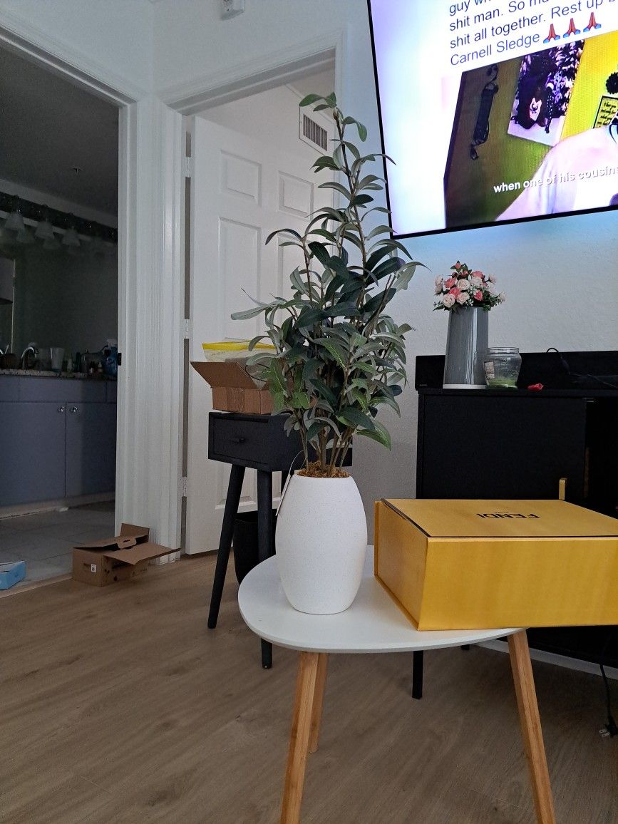 Moveout Sale Fake Plant/Gym Ball/laundry Basket