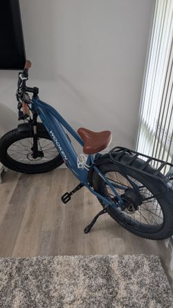 Wooken Fat Tire Electric Bike