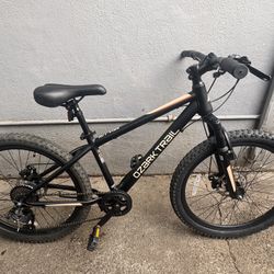 Ozark Trail Mountain Bike M.1 Vibe 