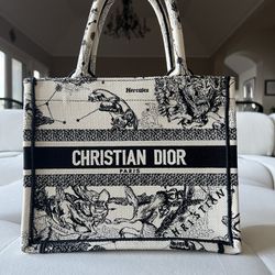 Christian Dior Book Tote 