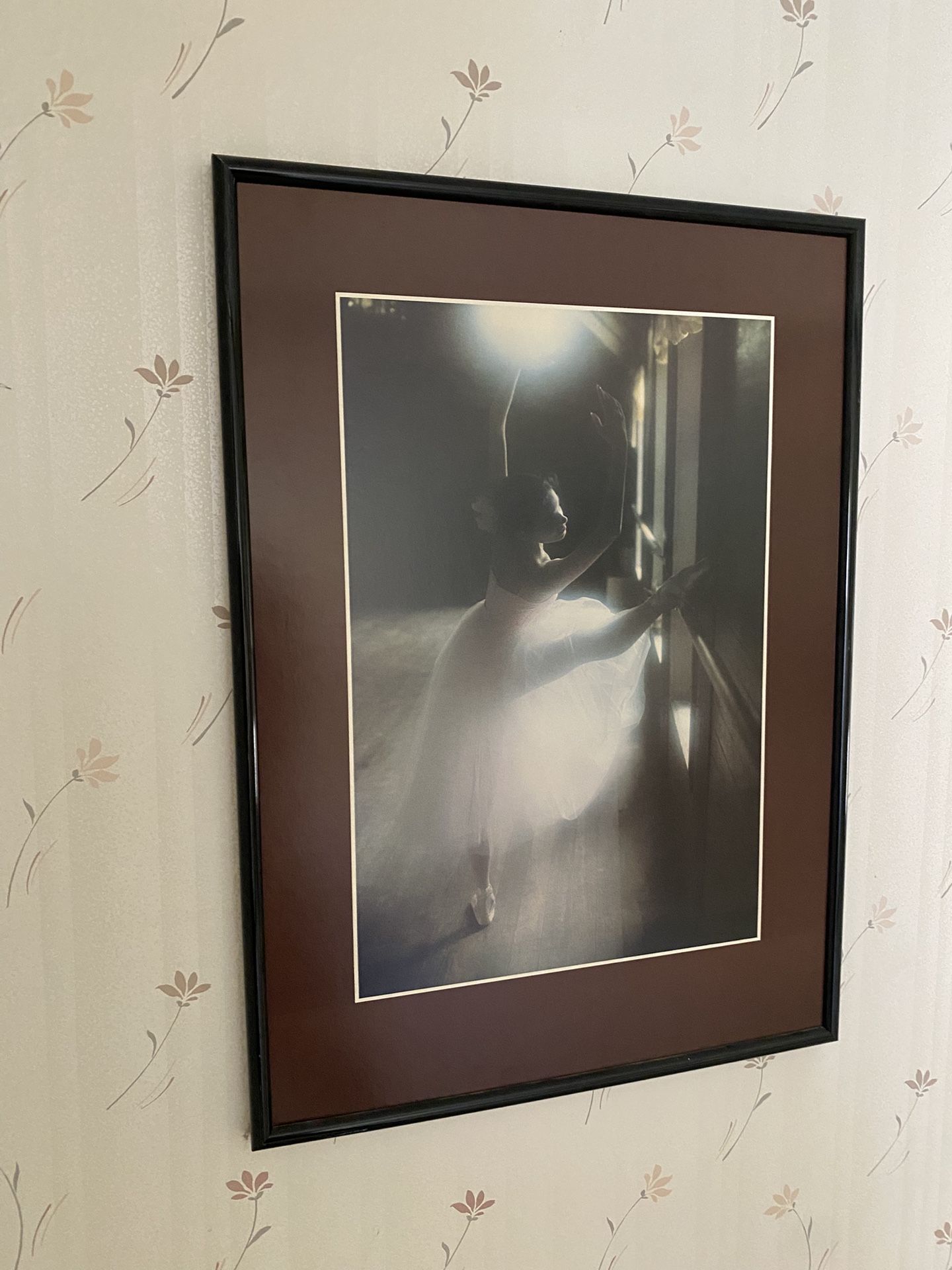 Collection Of Art